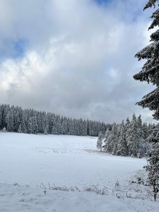 Gasthof & Pension "Schwarzer Adler" Masserberg Luaran gambar